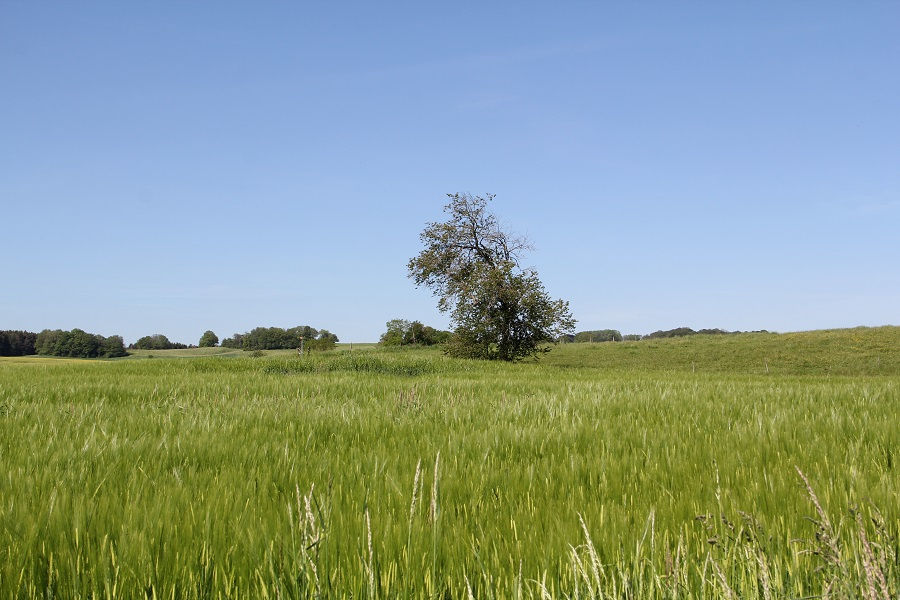 Grenze Bure Jura JU Frankreich