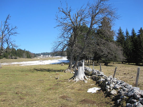 Piagrette Frontière Vaud France