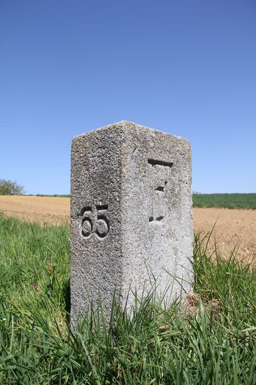 Borne 65