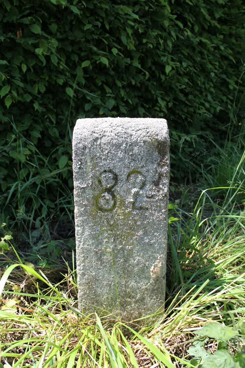 Cippo 82