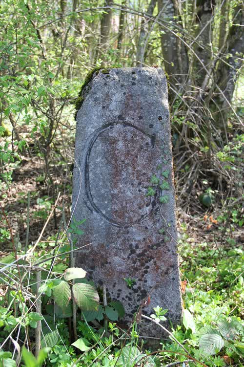 Borne 129