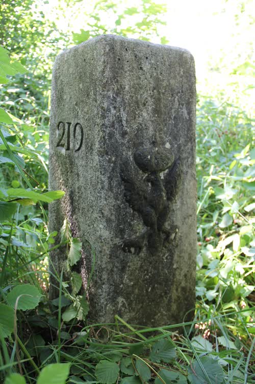 Marker 219