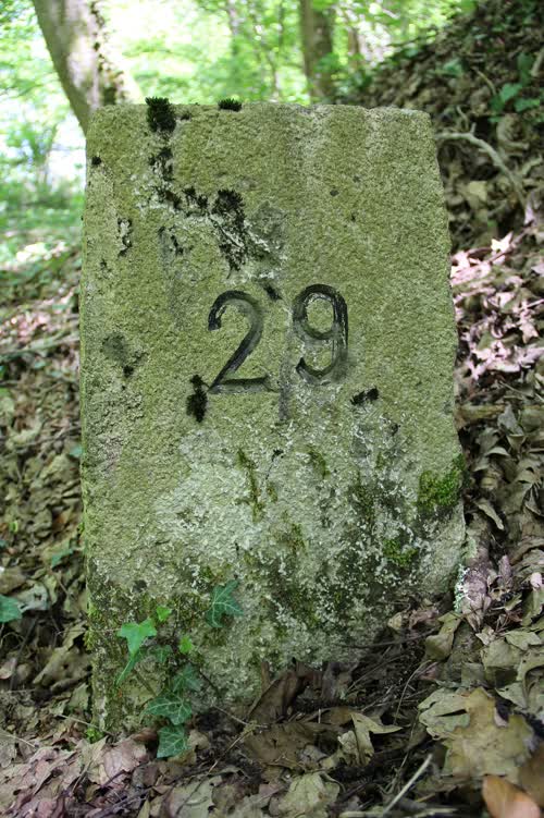 Marker 29