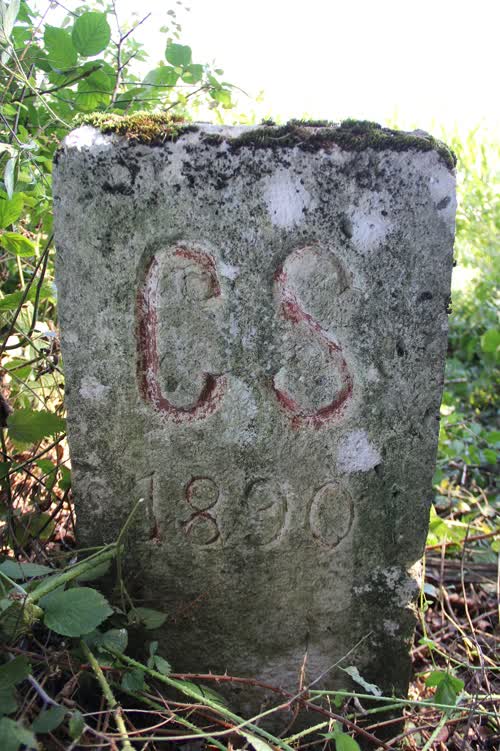 Borne 135