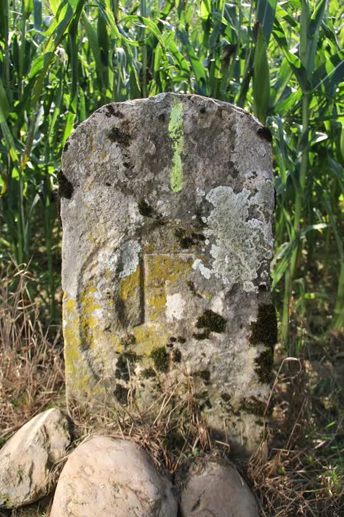 Grzst. 139