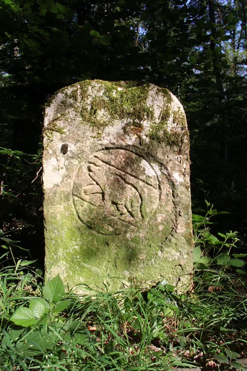 Grzst. 155