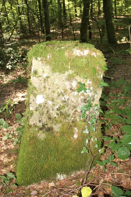 Grzst. 196