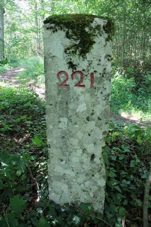 Grzst. 221