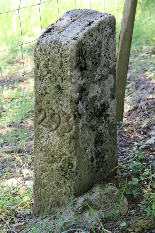 Marker 293
