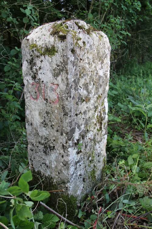 Marker 313