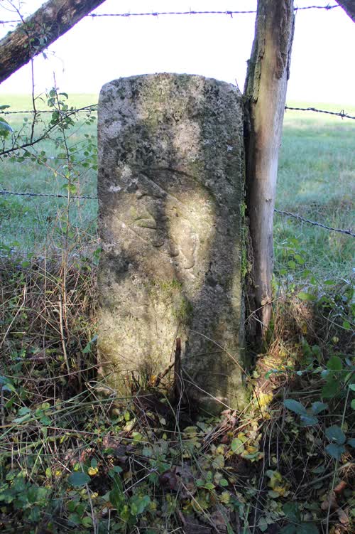 Grzst. 315