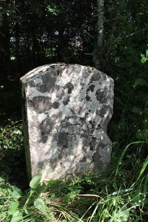 Marker 353