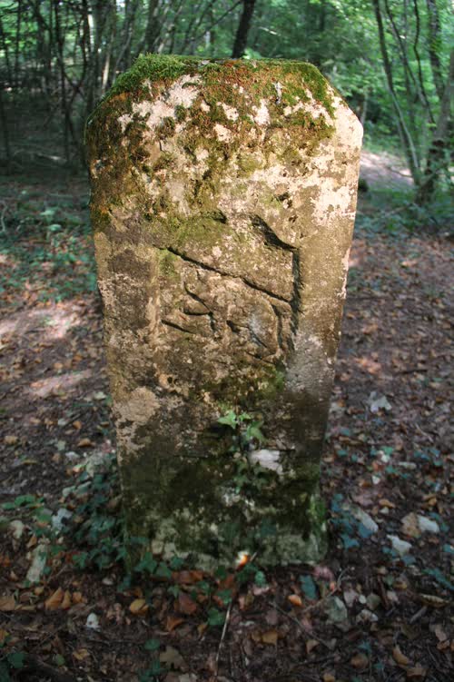 Borne 424