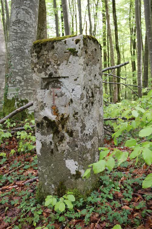 Grzst. 435