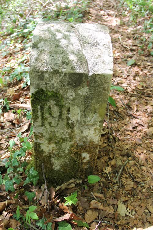 Borne 462.B