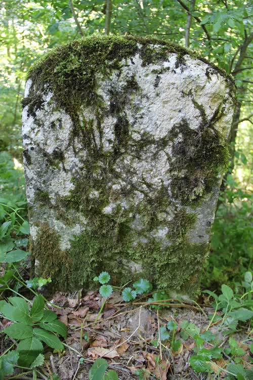 Marker 482