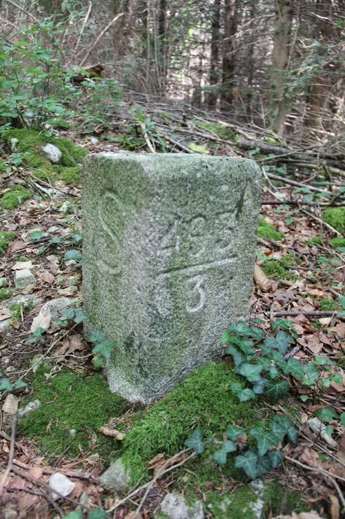 Grzst. 493.A.3
