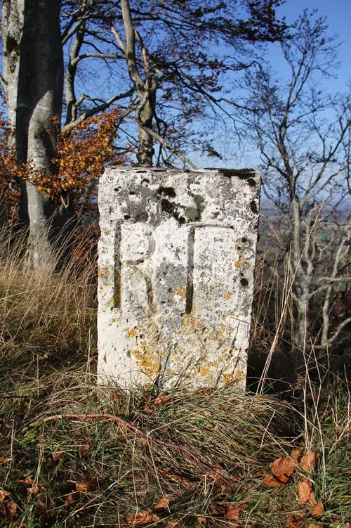 Grzst. 542.I