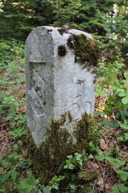 Marker 560