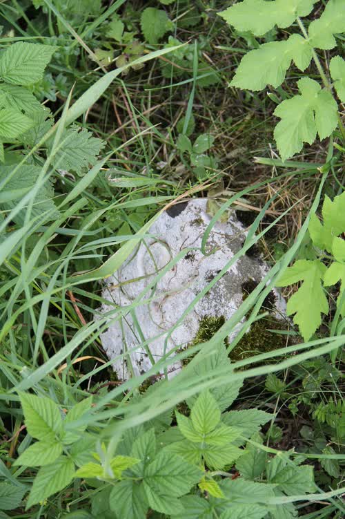 Marker 575.2