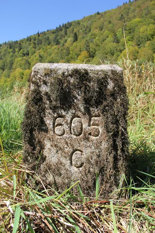 Borne 605.C