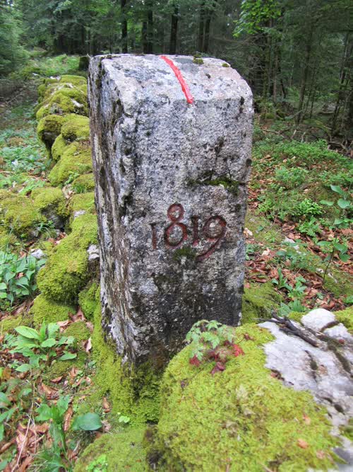 Borne 100