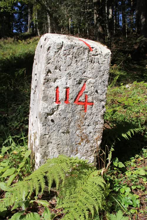 Borne 114