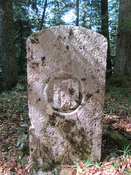 Borne 120