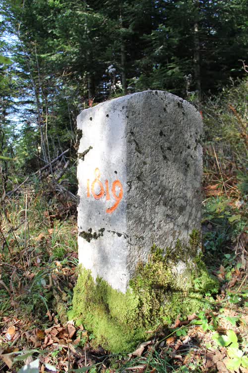 Borne 142