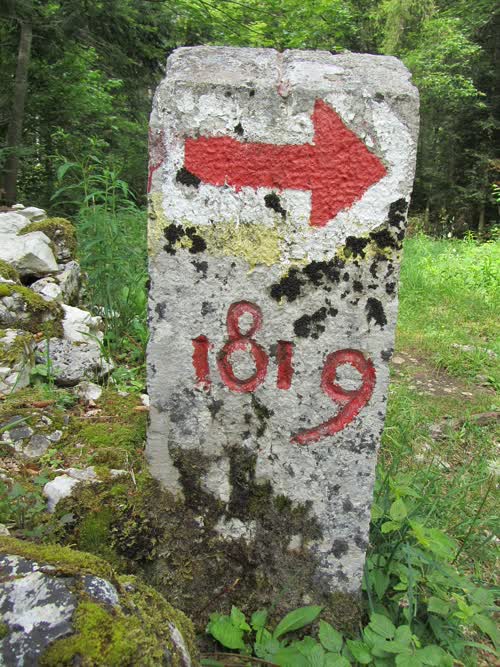 Borne 39