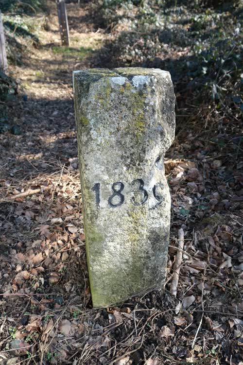Grzst. 12