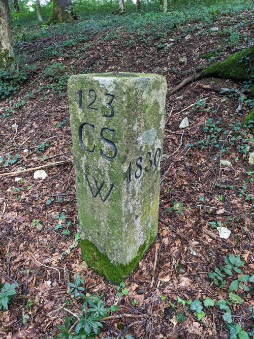 Grzst. 221