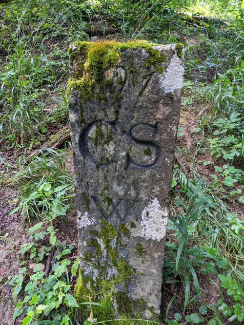 Grzst. 243