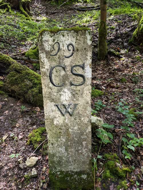 Grzst. 245