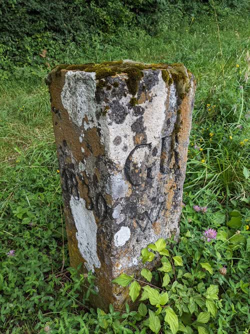 Marker 259