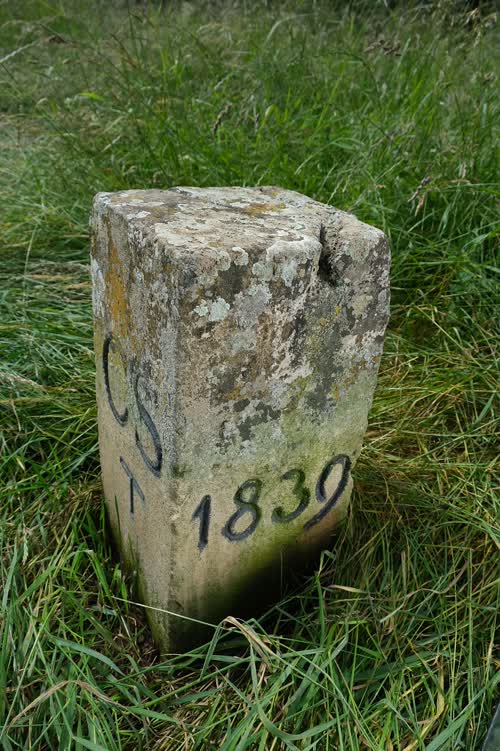 Marker 298