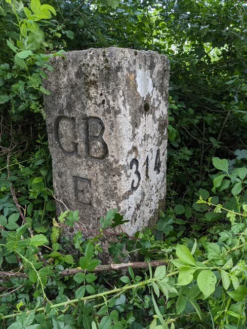 Cippo 314
