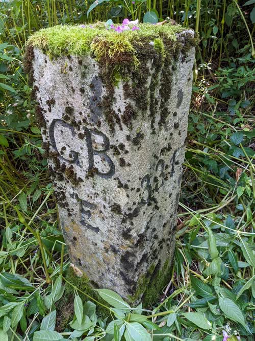 Grzst. 331