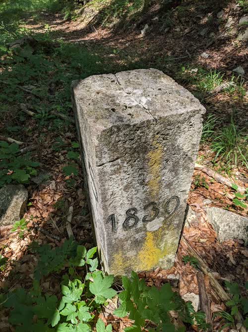 Grzst. 532
