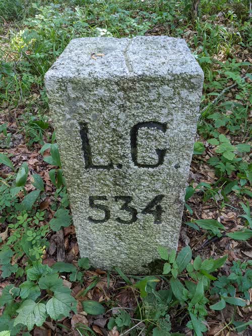 Grzst. 534
