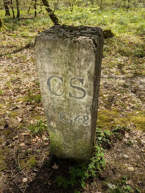 Grzst. 54