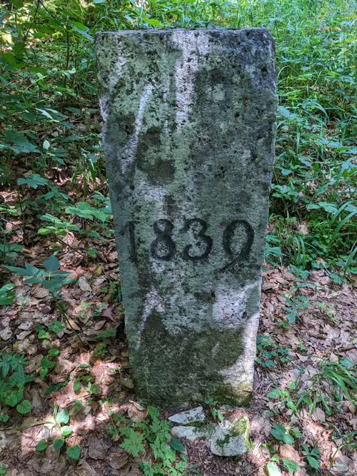 Borne 542