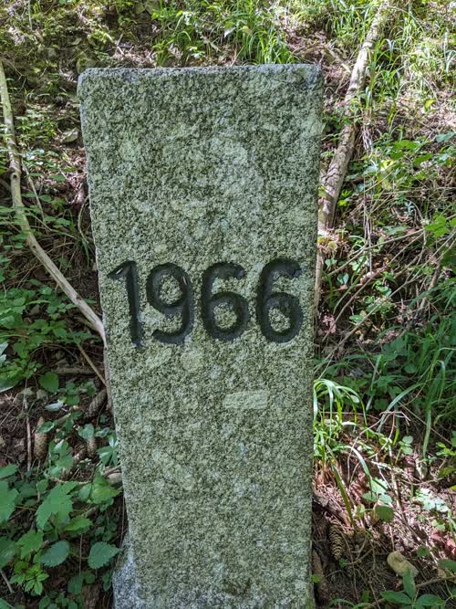 Grzst. 602