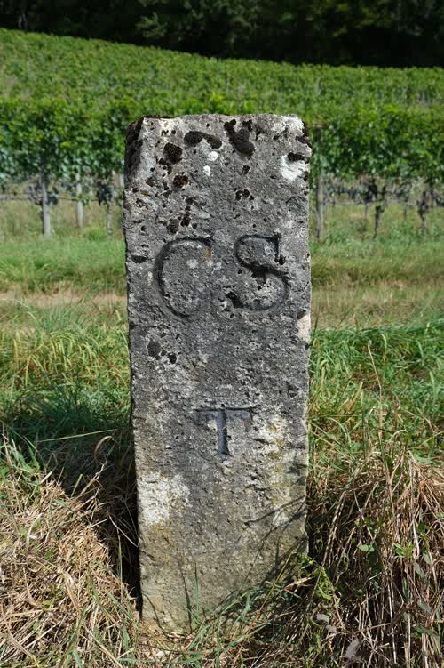 Grzst. 833