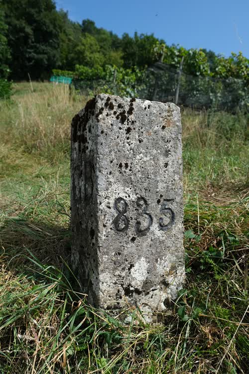 Grzst. 835