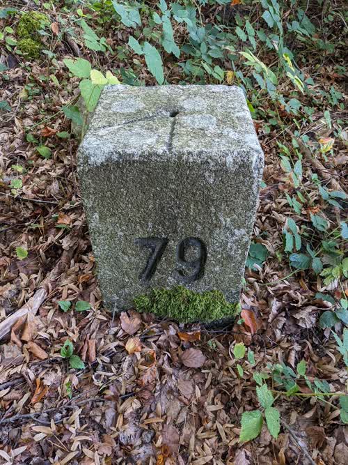 Borne 79