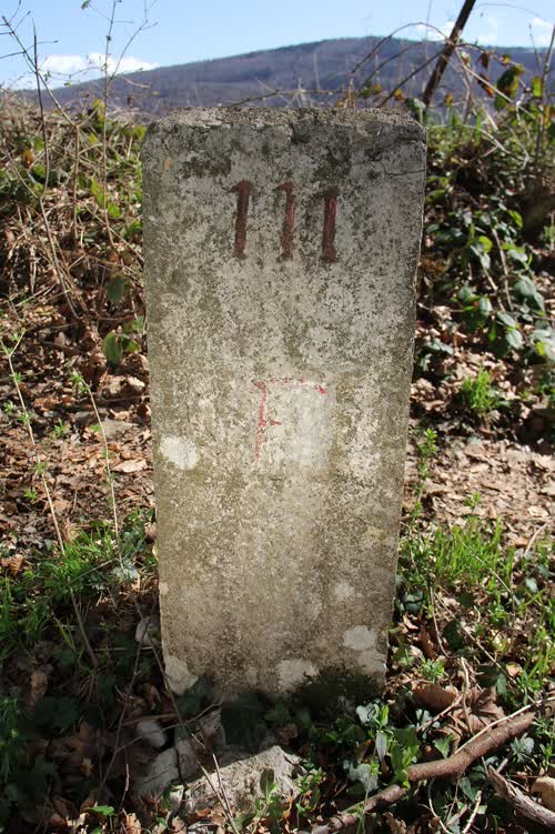 Cippo 111