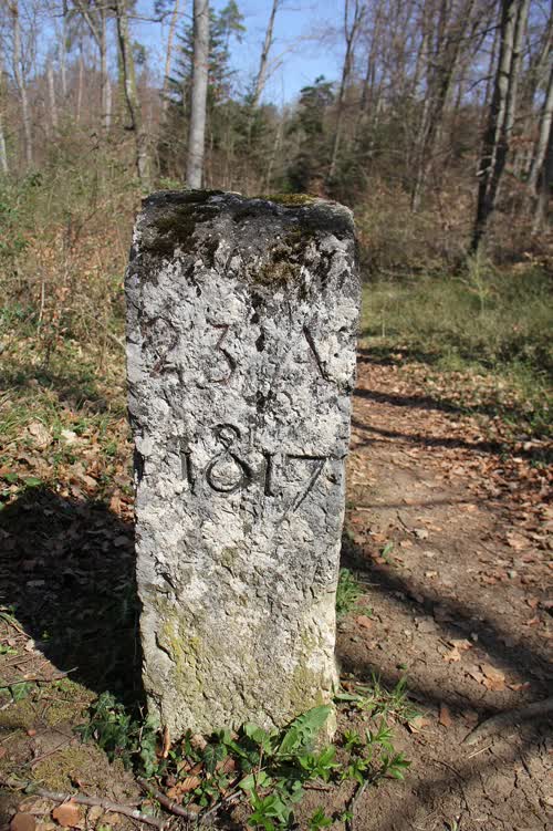 Grzst. 119,1