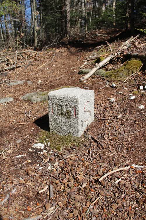 Grzst. 125.3