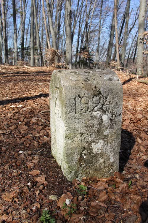 Grzst. 131.1